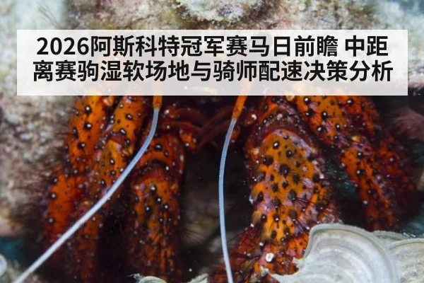 2026阿斯科特冠军赛马日前瞻 中距离赛驹湿软场地与骑师配速决策分析