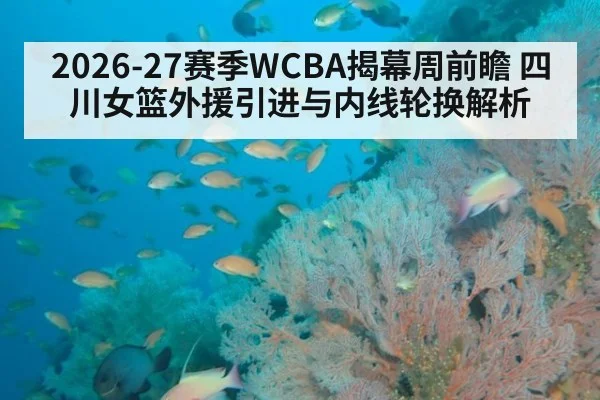 2026-27赛季WCBA揭幕周前瞻 四川女篮外援引进与内线轮换解析